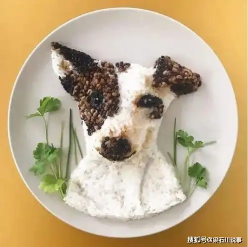 唯妙唯俏,比利时家庭主妇将美食摆成画作动物明星逼真