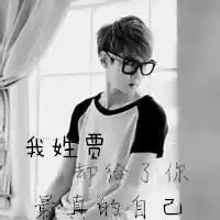关于贾的姓氏头像句子微信头像图片大全