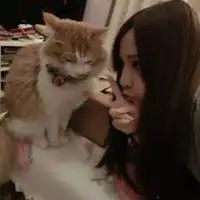 女生头像大全带动物微信头像图片大全