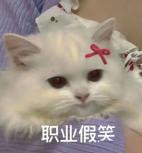 年轻人春节应对亲戚指南,拿走不谢