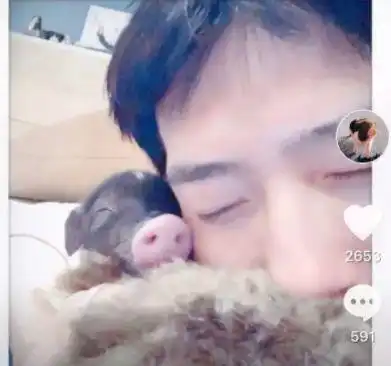 李冰冰拍杂志带着小花猪成功出道,网友调侃这是井柏然的小猪么