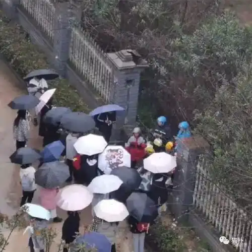 半夜女友发来一张性感美腿照,我吹完彩虹屁后差点分手