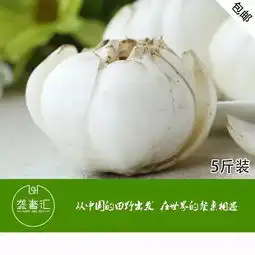 千万别买兰州百合