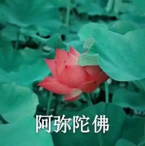谁说家长群只有家长最近妈妈头像火了,分分钟混进群