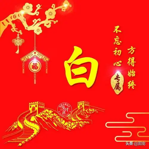 姓氏头像用专业的知识创造财富,用行动塑造未来