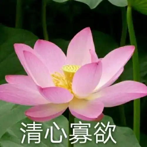 如何屏蔽微信头像不让父母看见
