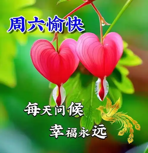 2024年5月11日早安图片大全,阳光心态,照亮人生,积极乐观,幸福自来快乐明媚好心情拥抱阳光网易订阅