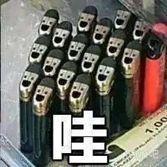 董小姐是野马,快手是草原