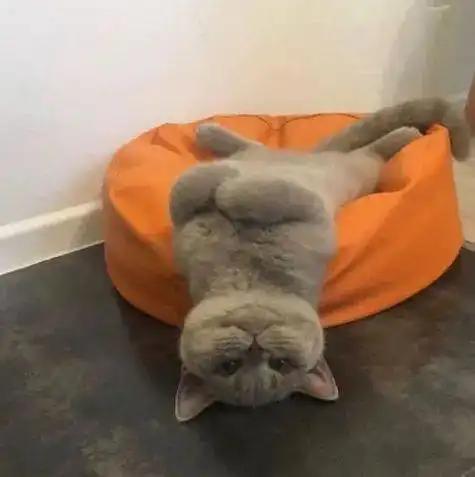 听说,这个姿势睡觉不会做噩梦