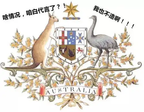 澳大利亚想不通,袋鼠肉出口六十多个国家,为何中国人不爱吃