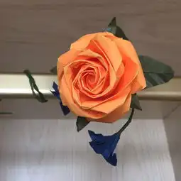 29岁啦生娃以后做什么还不如农名工一天300