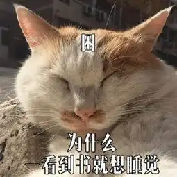 六年级男孩每天冲回家煮晚饭妈妈高兴不起来他数学才考1分