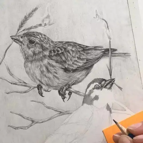 她的画怎一个细腻形容,简直是超级震撼