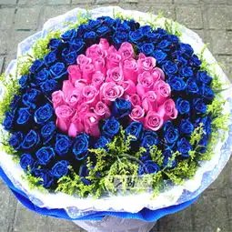 玫瑰蓝色妖姬花季雨鲜花