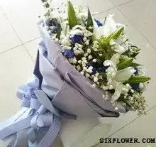 四川现代职业学院花店四川现代职业学院送花,免费送花上门六朵花