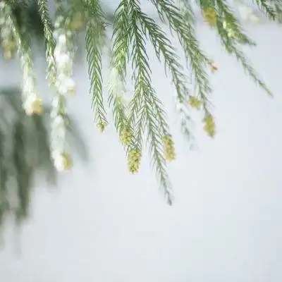 测试一个超长简介的文章