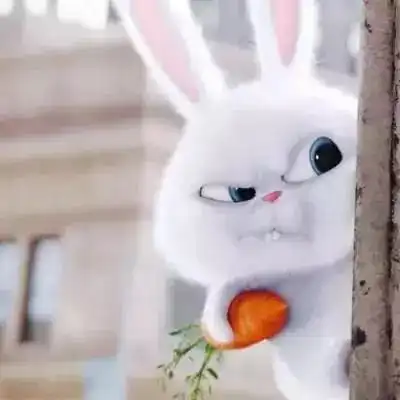 个性男女生兔子头像闺蜜头像