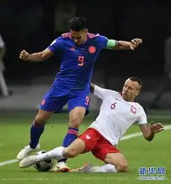 2018世界杯哥伦比亚队3比0胜波兰队