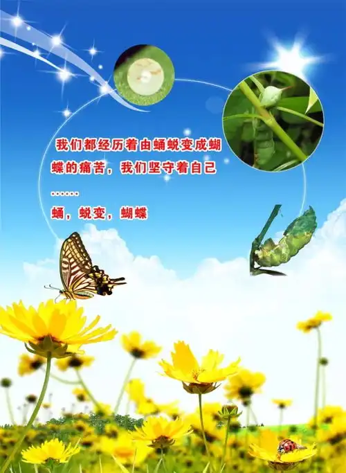 早安励志正能量语录早安心语正能量图片