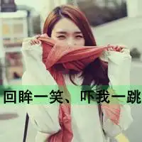 呆萌可爱小动物头像微信头像图片大全