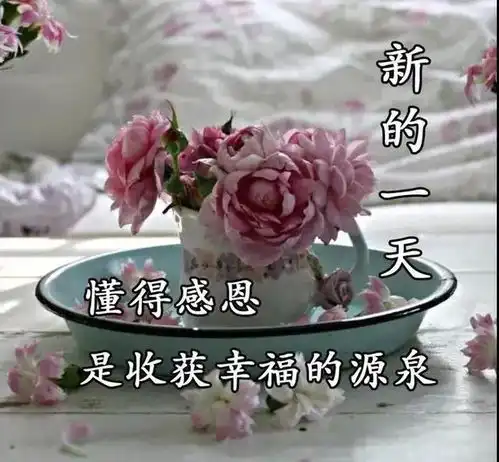 最新漂亮早上好图片带字早安激励人的励志句子