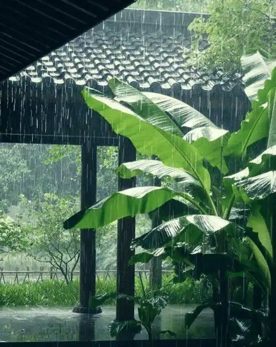 盛夏,许你一片清凉