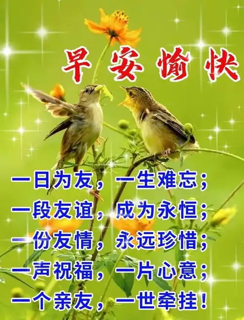 暖心的早安祝福图片带字问候祝福语