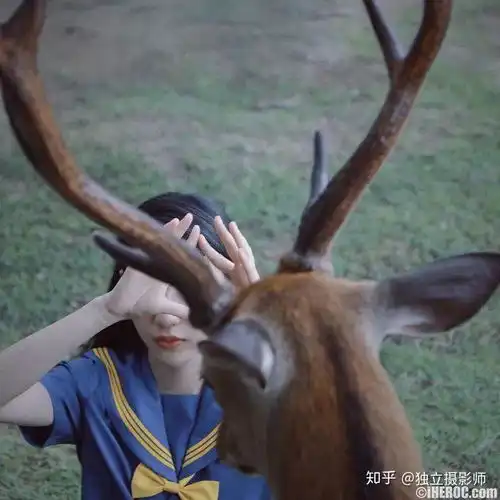 谜鹿少女摄影师海螺壳