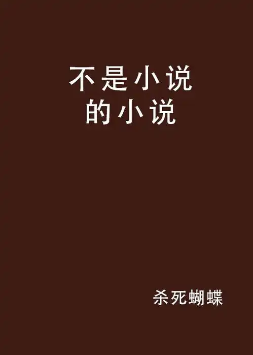 不是小说的小说