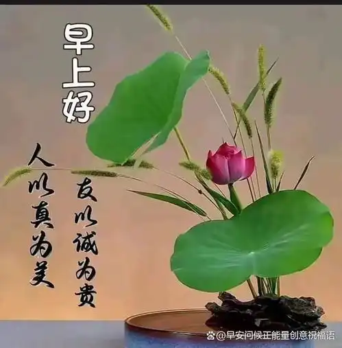 2024年8月27日清晨问好,精致早安图片呈献
