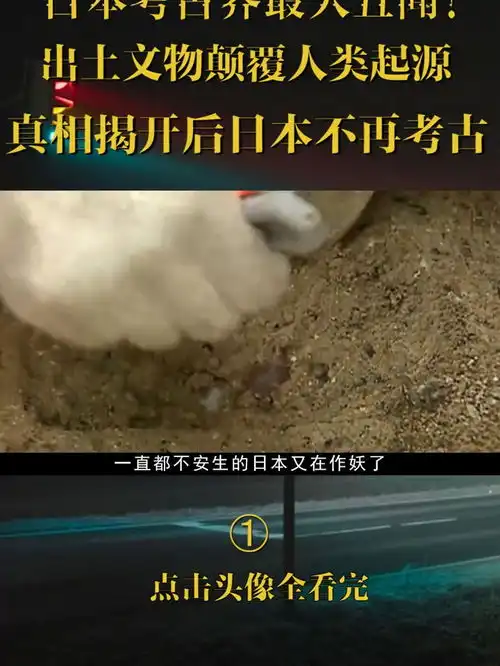 日本考古界最大丑闻考古日本奇闻异事