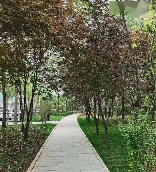 测试一个超长简介的文章
