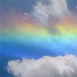 也许某一天,你会爱上这英文句子