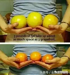 郡媚部落12条减肥铁律,原来常识都是错的