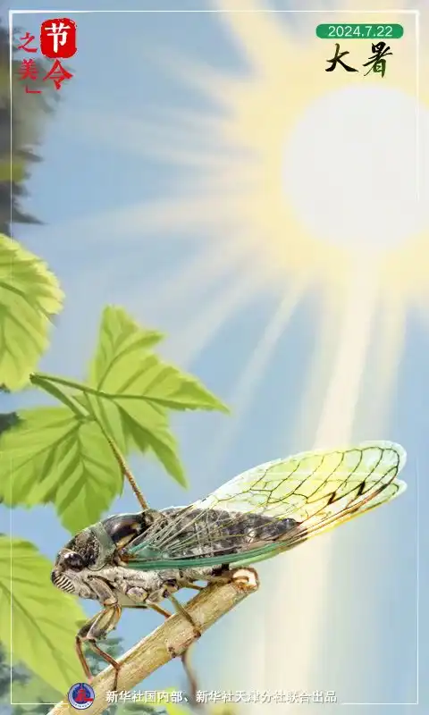 节令之美大暑三伏天,你在的地方有多热