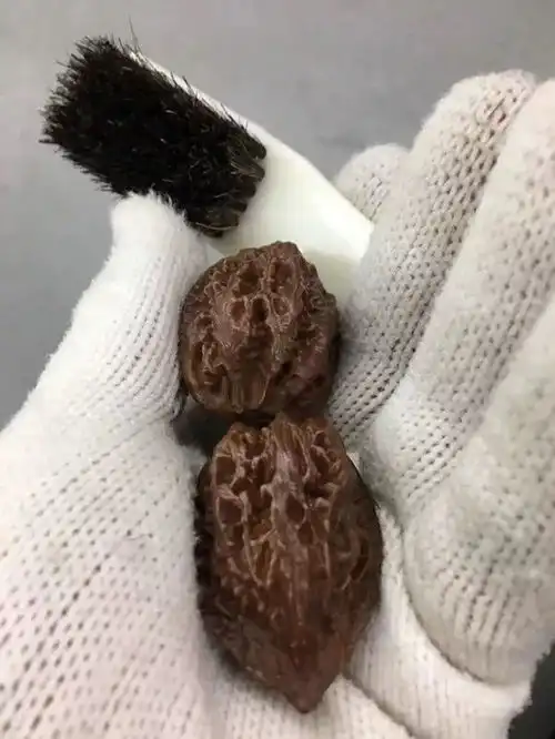 玩竹子不