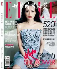 2010年十大女星封面大片盘点