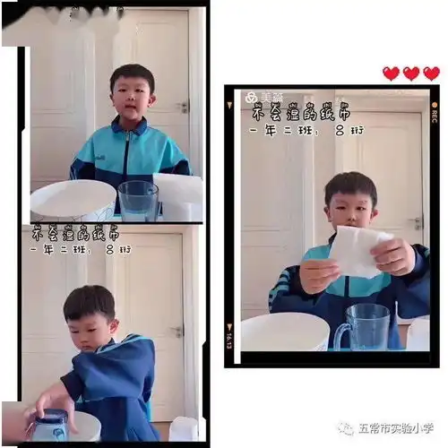 一年二班十一月份科学实验集锦