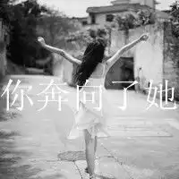 测试一个超长简介的文章