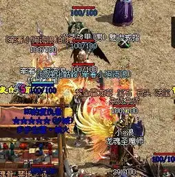 夺宝传世道士带了个强化骷髅和一个强化圣殿骷髅