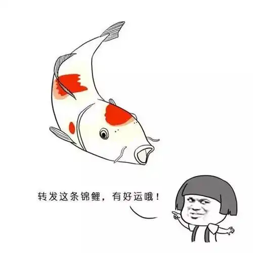 1.59亿湖南史上最高彩票大奖得主现身了奖金重达1.6吨