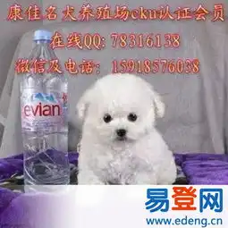 西区西堤易登网