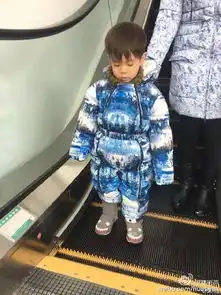 郑恺携女友与霍思燕一家滑雪秀恩爱嗯哼高冷8220049搜狐时尚频道图片库大视野搜狐