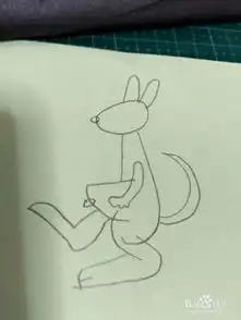 简笔画袋鼠