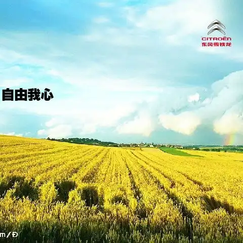让我看看你的自由与精彩