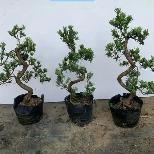 价格品牌推荐怎么样