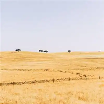 欧亚体育
