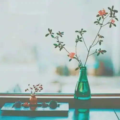 为什么有人会越过越穷