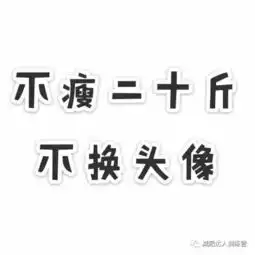 你要的微信头像都在这里了