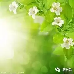 生活小确幸21
